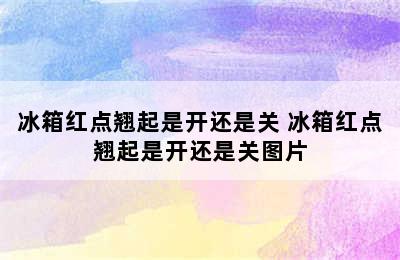 冰箱红点翘起是开还是关 冰箱红点翘起是开还是关图片